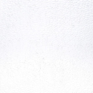 Elev8 Stained Glass Clear Texture 00/R4