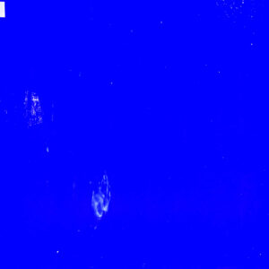 Elev8 Stained Glass Blue Marbled Light White 41/350